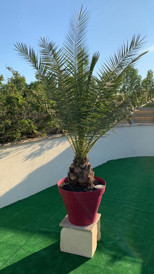 Le Jardin Des Hirondelles Bed & Breakfast Blanzaguet-Saint-Cybard Luaran gambar